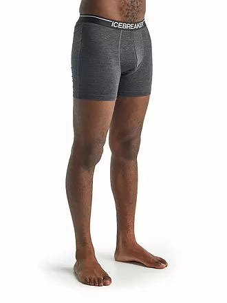 ICEBREAKER | Boxer da uomo Merino Anatomica | grau